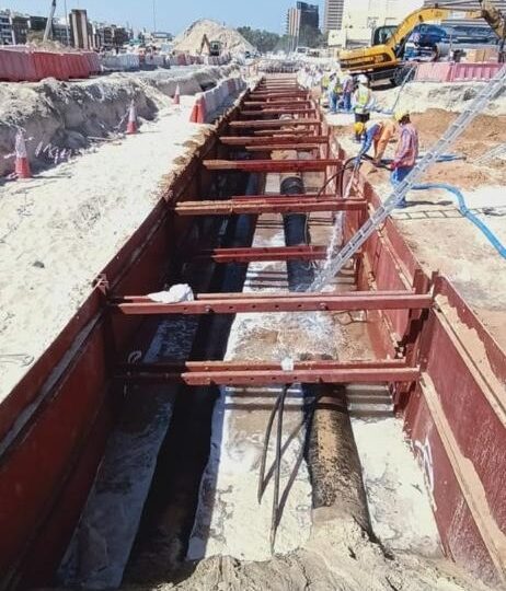 Project Name