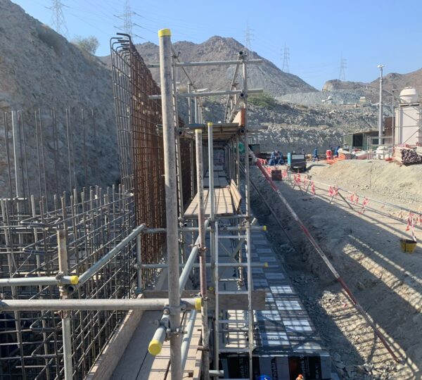 Project Name