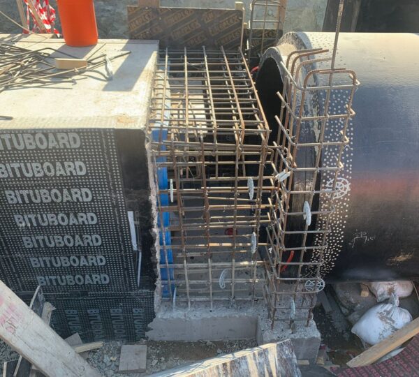 Project Name