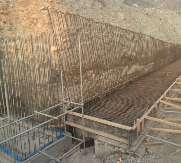 Project Name