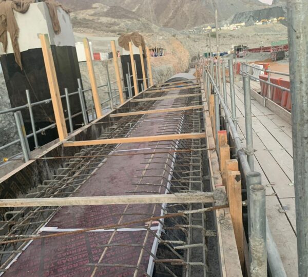 Project Name