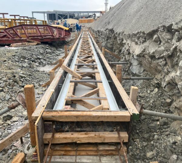 Project Name